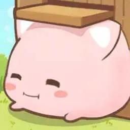 Mochicats Collection